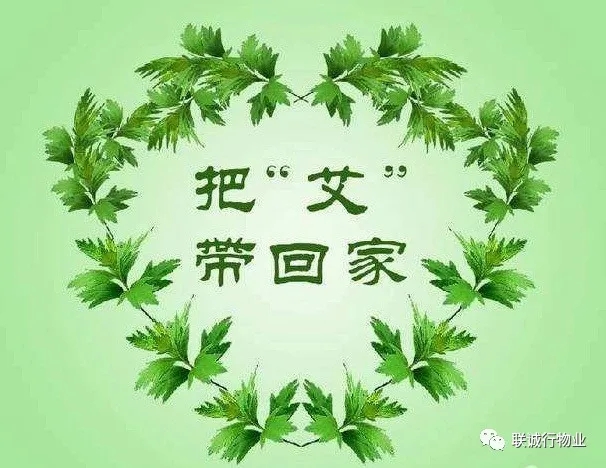 株株“愛意”（艾葉）草”，綿綿情意長(zhǎng)