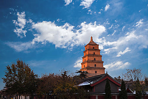 賞曲江美景，體驗(yàn)中國年