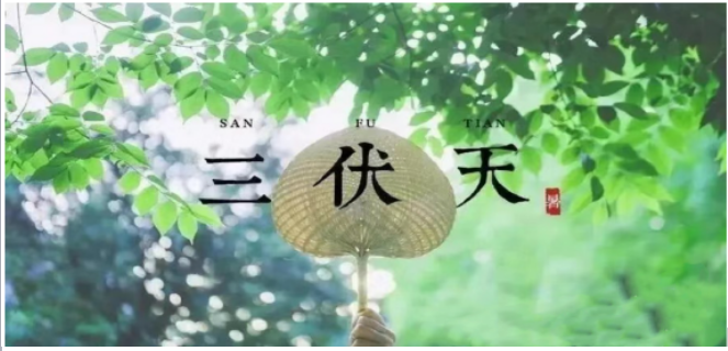 “三伏”駕到，科學(xué)防暑